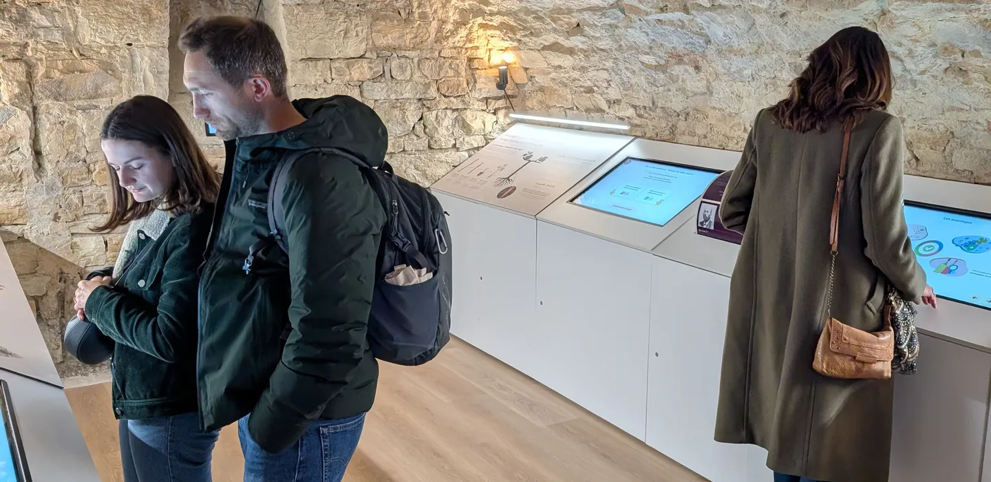 Caves voûtées du Petit Musée du Vin — cadre unique pour offrir une expérience vin à Lyon