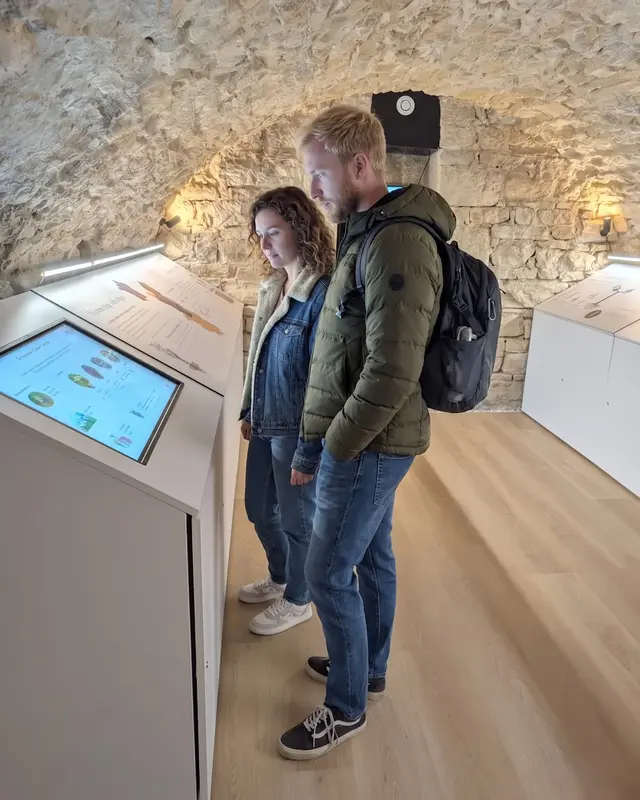 Deux visiteurs découvrent les expositions interactives dans les caves voûtées du Petit Musée du Vin, Lyon 7e