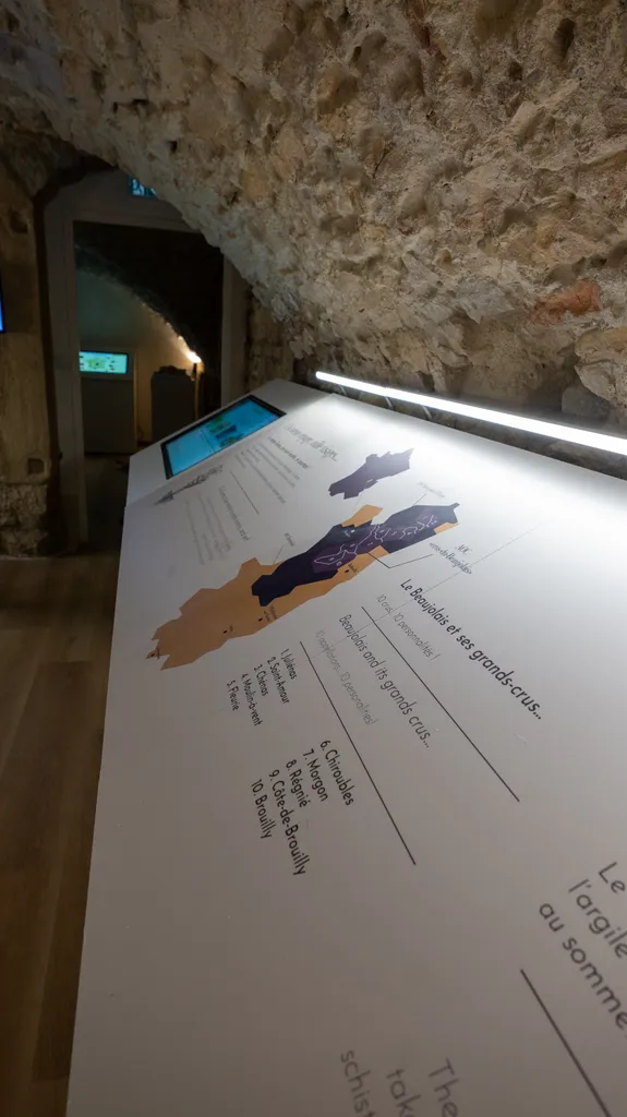 Le Petit Musée du Vin风土展厅——石质拱顶下带有博若莱地图的灯光桌