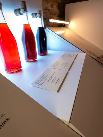 Vinifikationsraum: die Verwandlung von der Traube ins Glas verstehen
