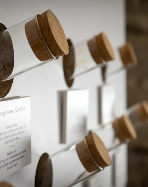 Reception space at Le Petit Musée du Vin — corporate events in Lyon