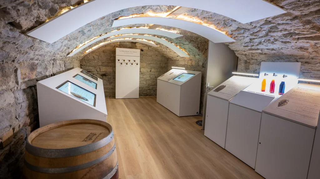 salle musée cave dégustation vin musée du vin